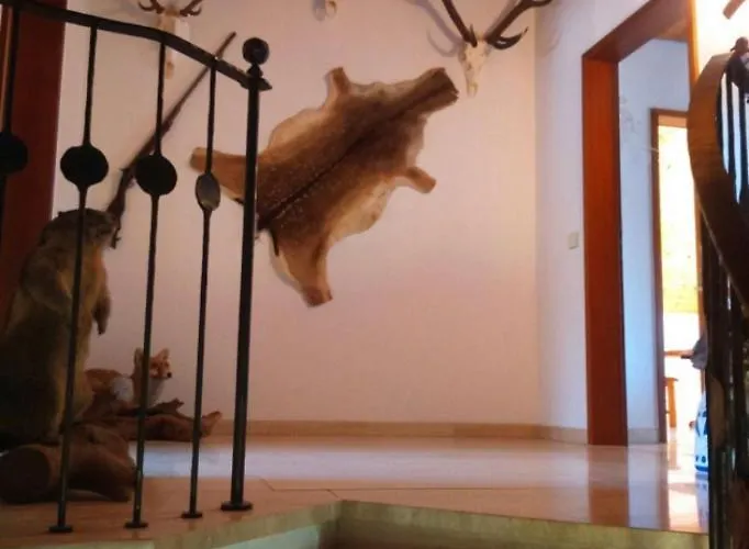 Haus Saentisblick * Eriskirch